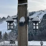 Bergchalet Heidestock 아파트 *