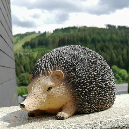 Bergchalet Heidestock דירה וילינגן