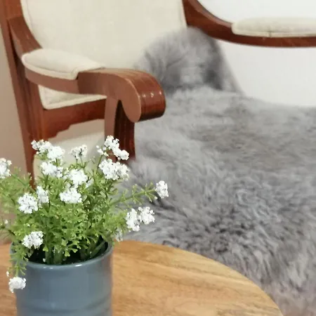 Apartment Bergchalet Heidestock Willingen (Upland)