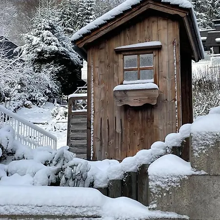 Bergchalet Heidestock * Willingen (Upland)