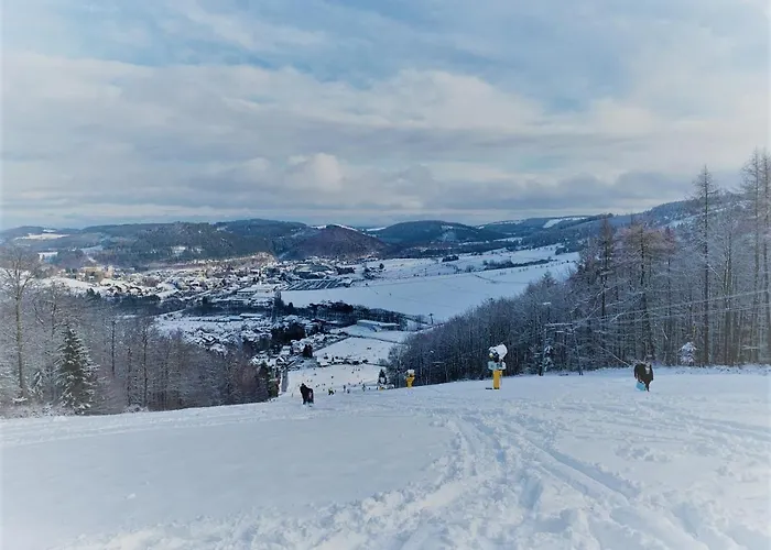 Bergchalet Heidestock * Віллінген