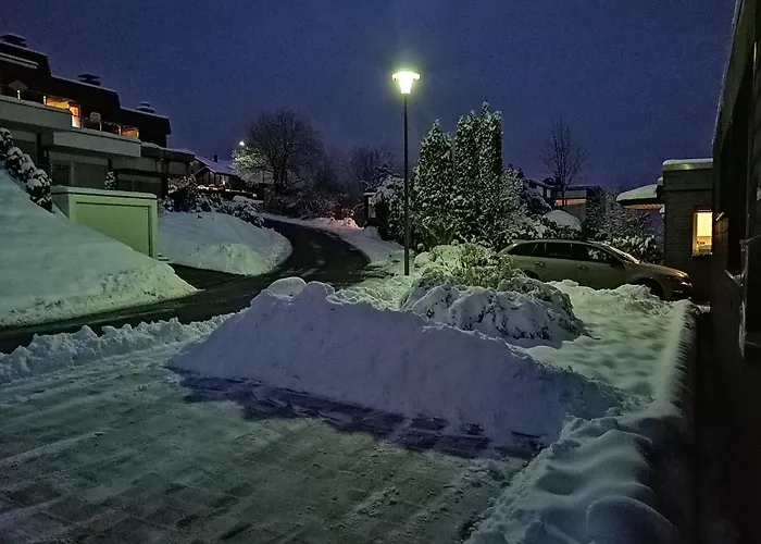 Bergchalet Heidestock Віллінген