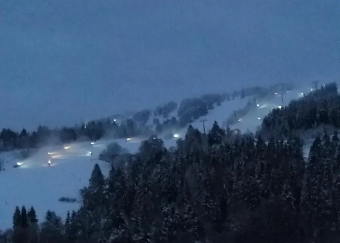 Bergchalet Heidestock *