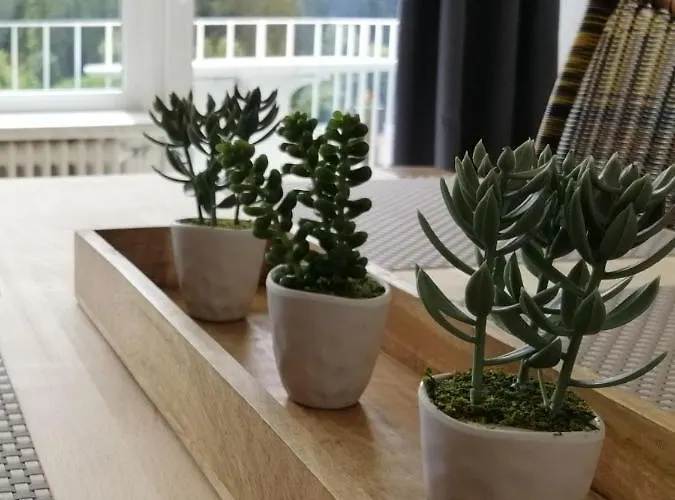 Bergchalet Heidestock 아파트