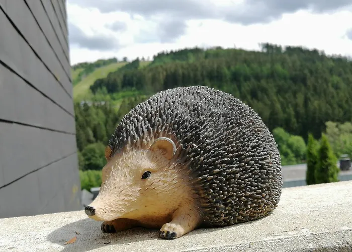 Bergchalet Heidestock 아파트 빌링겐