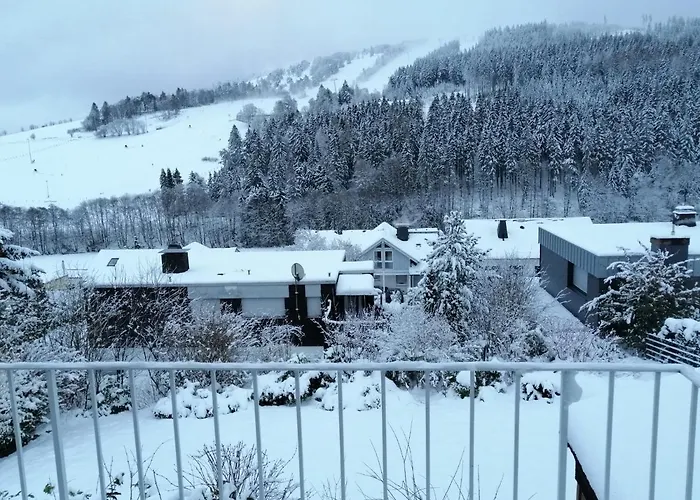 Bergchalet Heidestock * 빌링겐