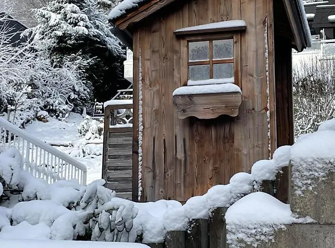 Bergchalet Heidestock * Willingen (Upland)